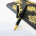 Diplomat Excellence A2 Rollerball Pen - Black Lacquer and Gold Trim
